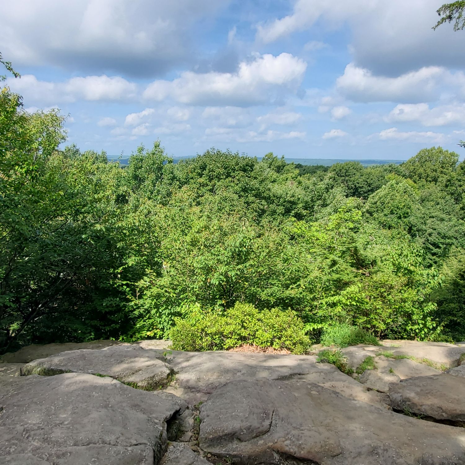 Ledges and Pine Grove Trails 